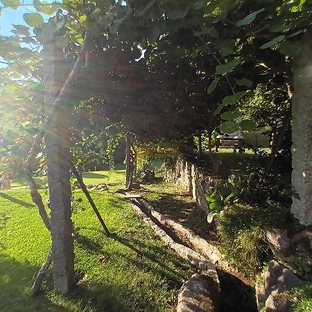 Quinta Da Chanca Paredes de Coura Exterior foto